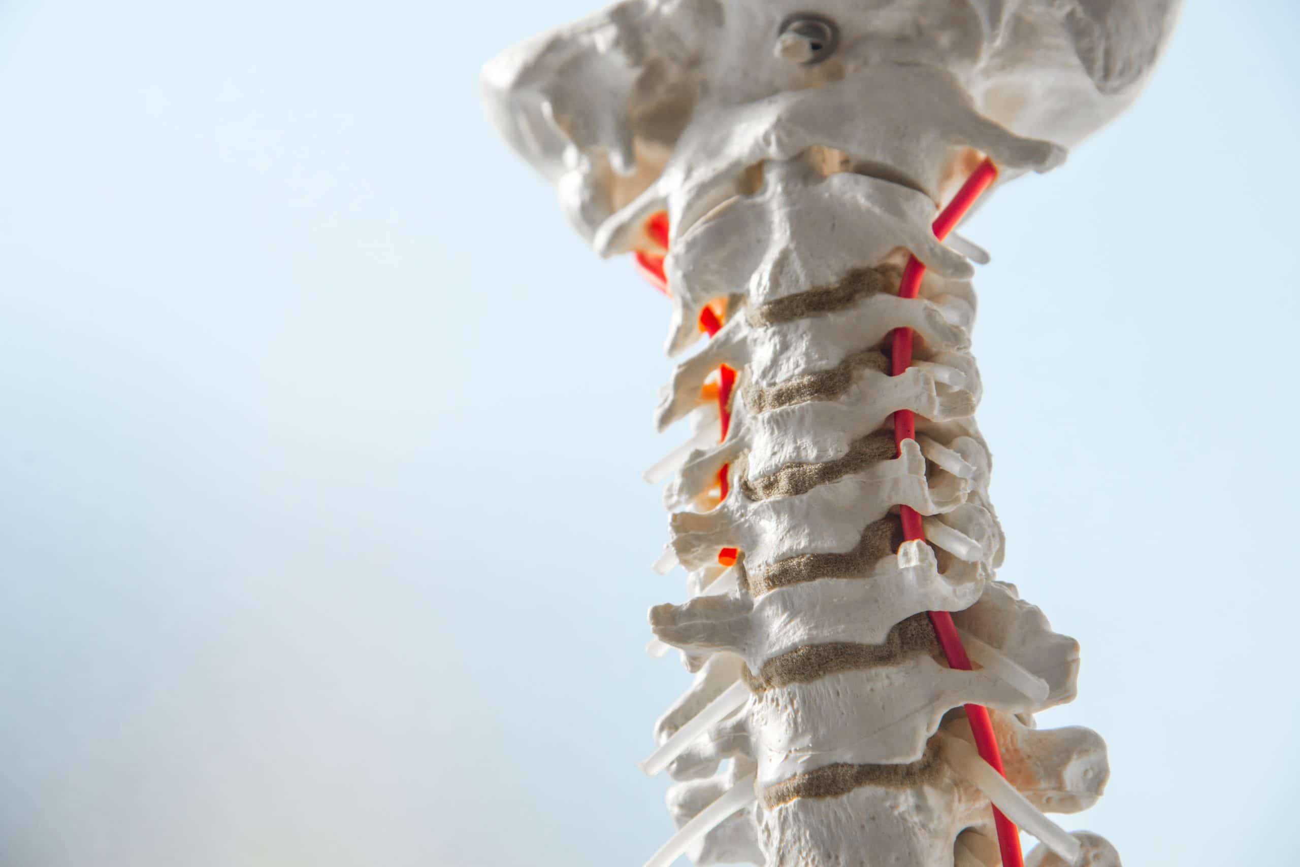 ACP/Eigenbluttherapie